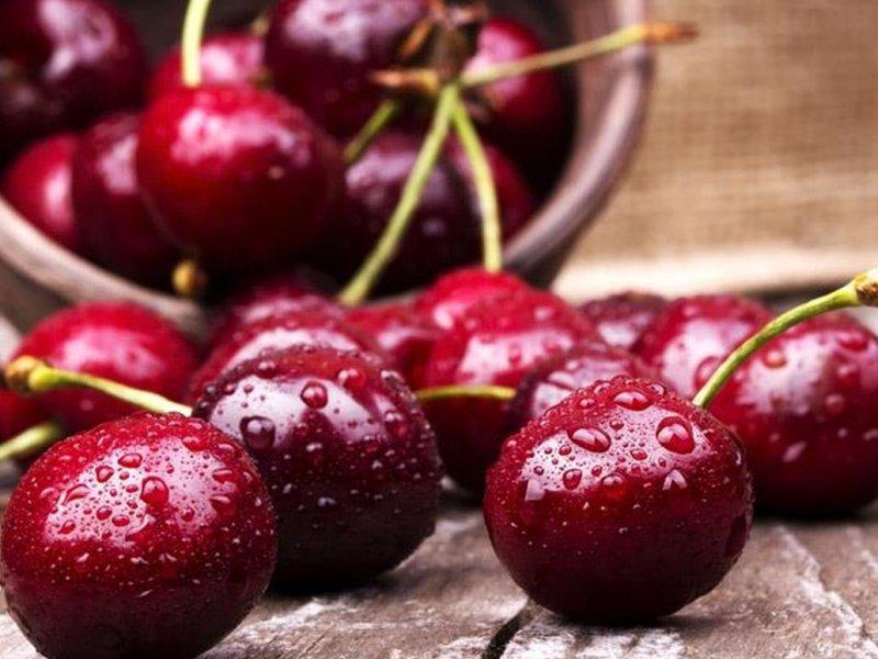 Вишня купить саженцы из питомника в Мелитополе